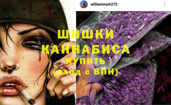 ECSTASY Вяземский