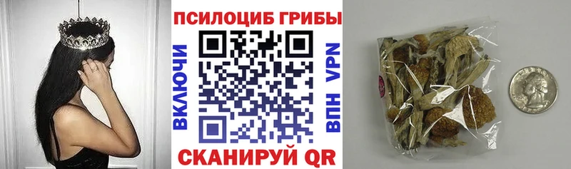 магазин продажи   mega как войти  Псилоцибиновые грибы Magic Shrooms  Новочебоксарск 